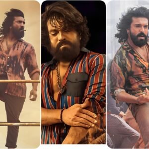 Peddi Shirts combo