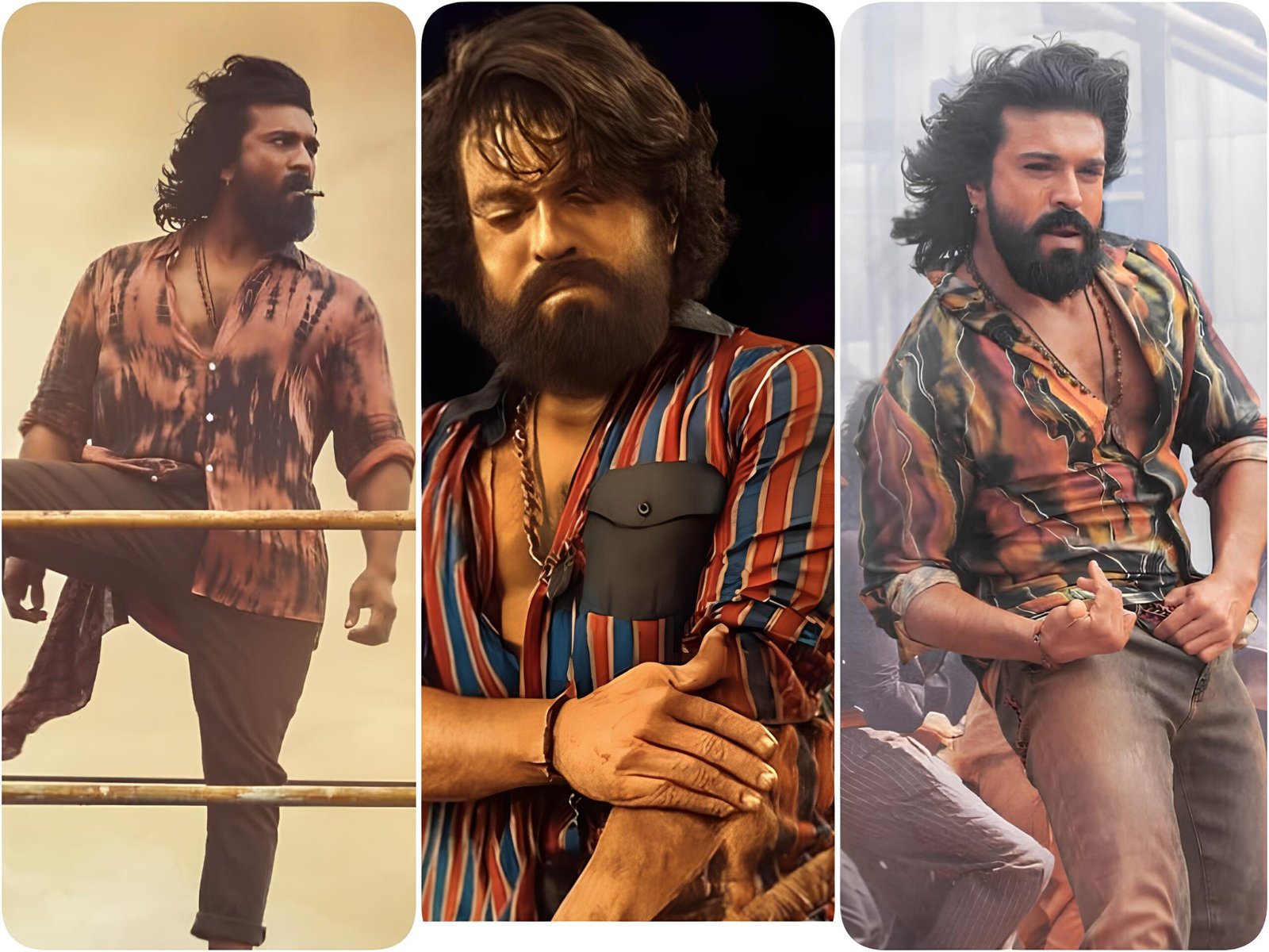 Peddi Shirts combo